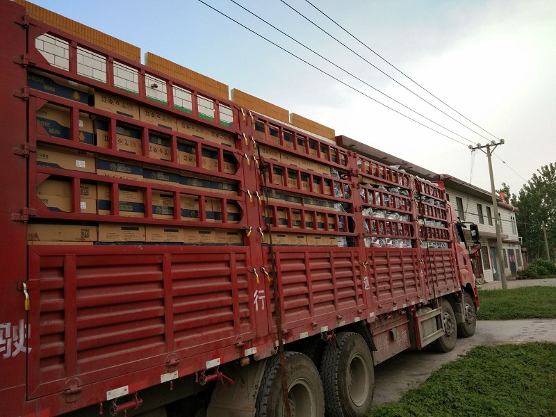 QQ圖片20160918152253